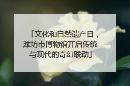 文化和自然遗产日，潍坊市博物馆开启传统与现代的奇幻联动