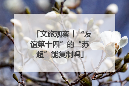 文旅观察丨“友谊第十四”的“苏超”能复制吗