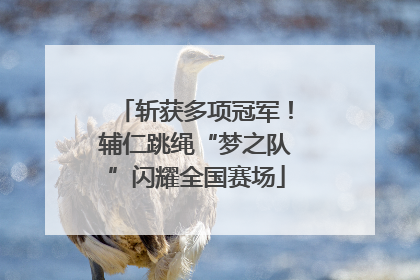 斩获多项冠军！辅仁跳绳“梦之队”闪耀全国赛场