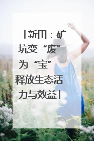 新田：矿坑变“废”为“宝” 释放生态活力与效益