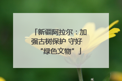 新疆阿拉尔：加强古树保护 守好“绿色文物”
