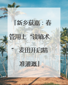 新乡获嘉：春管用上“读墒术” 麦田开启精准灌溉
