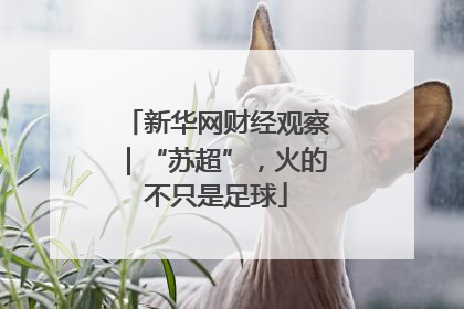 新华网财经观察｜“苏超”，火的不只是足球