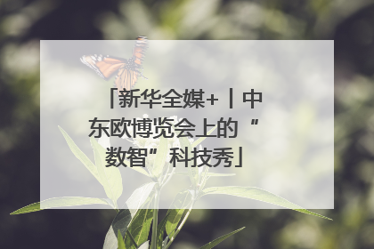 新华全媒+丨中东欧博览会上的“数智”科技秀