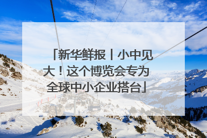 新华鲜报丨小中见大！这个博览会专为全球中小企业搭台