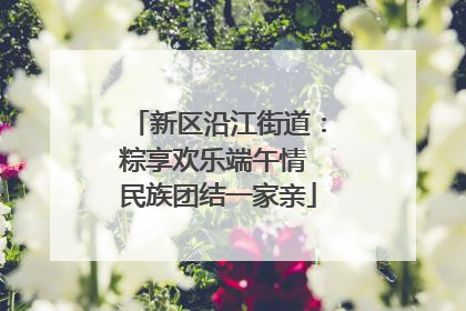 新区沿江街道：粽享欢乐端午情 民族团结一家亲