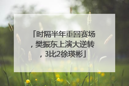 时隔半年重回赛场，樊振东上演大逆转，3比2徐瑛彬