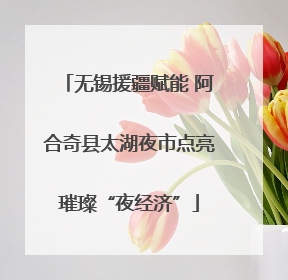 无锡援疆赋能 阿合奇县太湖夜市点亮璀璨“夜经济”