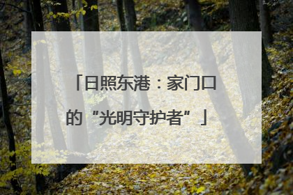 日照东港：家门口的“光明守护者”