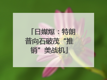 日媒爆：特朗普向石破茂“推销”美战机