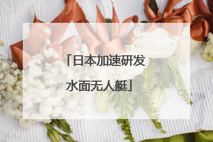 日本加速研发水面无人艇
