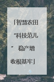 智慧农田“科技范儿” 稳产增收根基牢