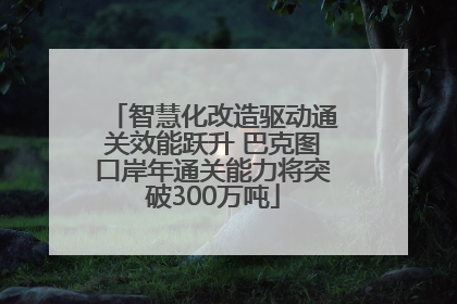 智慧化改造驱动通关效能跃升 巴克图口岸年通关能力将突破300万吨