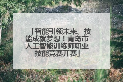 智能引领未来、技能成就梦想！青岛市人工智能训练师职业技能竞赛开赛