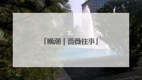 晚潮｜蔷薇往事