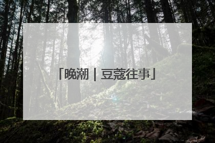 晚潮｜豆蔻往事