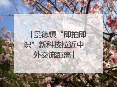 景德镇“即拍即识”新科技拉近中外交流距离