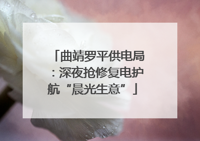 曲靖罗平供电局：深夜抢修复电护航“晨光生意”