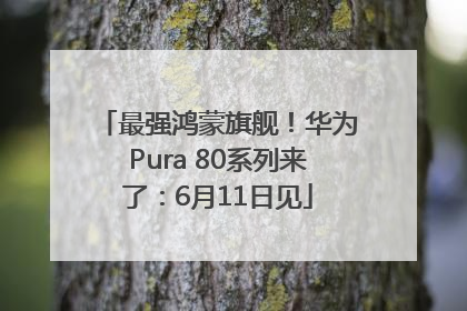 最强鸿蒙旗舰！华为Pura 80系列来了：6月11日见