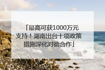 最高可获1000万元支持！湖南出台十项政策措施深化对德合作