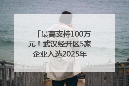 最高支持100万元！武汉经开区5家企业入选2025年度武汉市重点研发计划拟立项项目名单