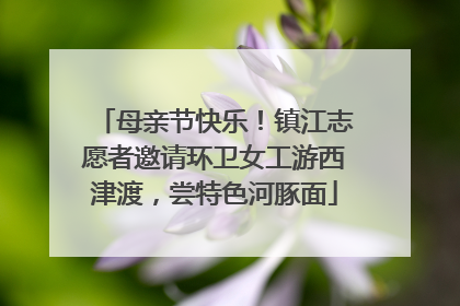 母亲节快乐！镇江志愿者邀请环卫女工游西津渡，尝特色河豚面