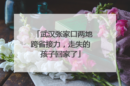 武汉张家口两地跨省接力，走失的孩子回家了