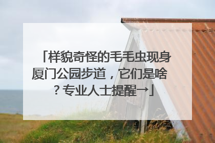 样貌奇怪的毛毛虫现身厦门公园步道，它们是啥？专业人士提醒→