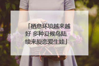 栖息环境越来越好 多种夏候鸟陆续来厦恋爱生娃