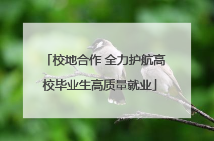 校地合作 全力护航高校毕业生高质量就业