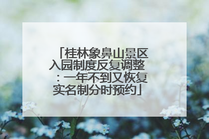 桂林象鼻山景区入园制度反复调整：一年不到又恢复实名制分时预约