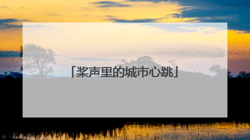 桨声里的城市心跳