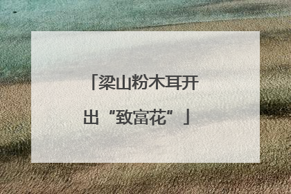 梁山粉木耳开出“致富花”