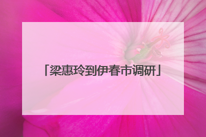 梁惠玲到伊春市调研