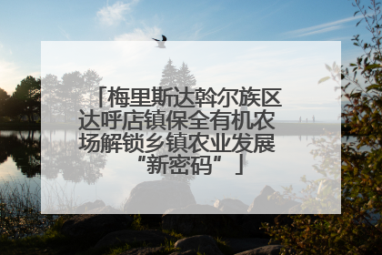梅里斯达斡尔族区达呼店镇保全有机农场解锁乡镇农业发展“新密码”