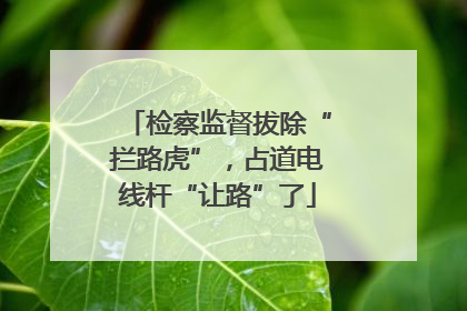 检察监督拔除“拦路虎”，占道电线杆“让路”了