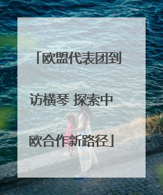 欧盟代表团到访横琴 探索中欧合作新路径