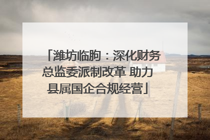 潍坊临朐：深化财务总监委派制改革 助力县属国企合规经营