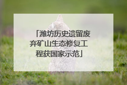 潍坊历史遗留废弃矿山生态修复工程获国家示范