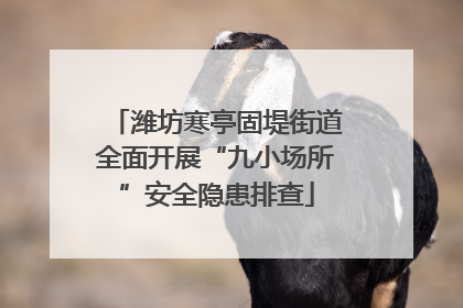潍坊寒亭固堤街道全面开展“九小场所”安全隐患排查