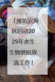 潍坊滨海区启动2025年水生生物增殖放流工作