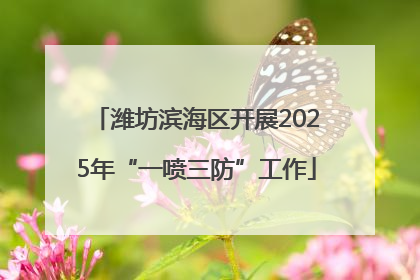潍坊滨海区开展2025年“一喷三防”工作