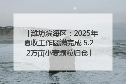 潍坊滨海区：2025年夏收工作圆满完成 5.22万亩小麦颗粒归仓