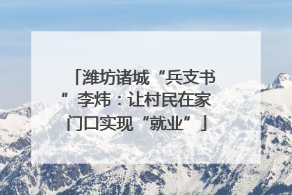 潍坊诸城“兵支书”李炜：让村民在家门口实现“就业”