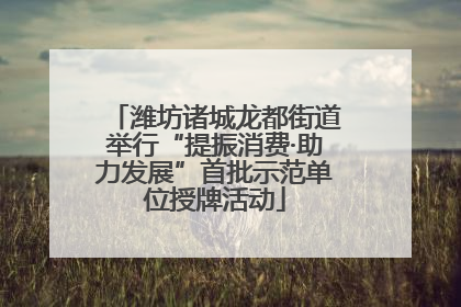 潍坊诸城龙都街道举行“提振消费·助力发展”首批示范单位授牌活动