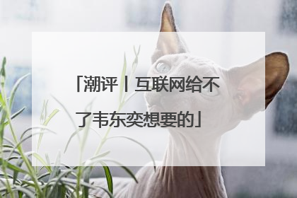 潮评丨互联网给不了韦东奕想要的