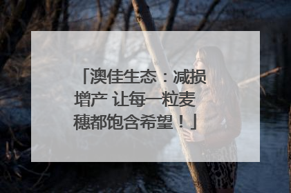 澳佳生态：减损增产 让每一粒麦穗都饱含希望！