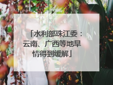 水利部珠江委：云南、广西等地旱情得到缓解