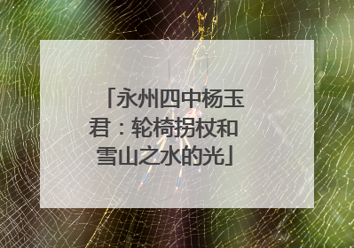 永州四中杨玉君：轮椅拐杖和雪山之水的光