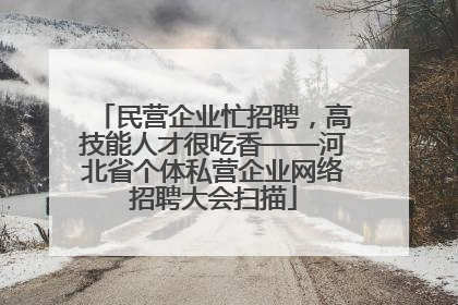民营企业忙招聘，高技能人才很吃香——河北省个体私营企业网络招聘大会扫描